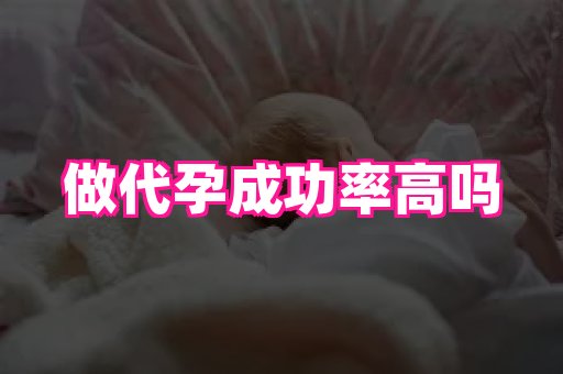 点点助孕网 1