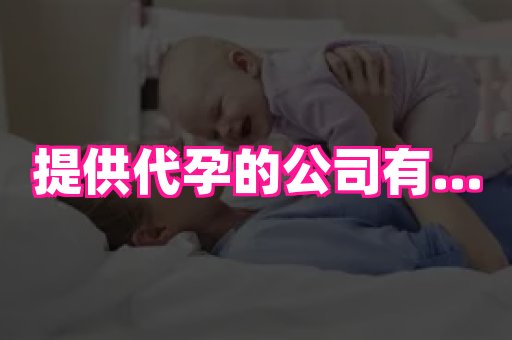 点点助孕网 2