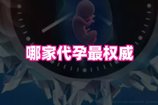 点点助孕网 3
