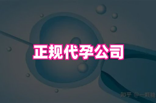 点点助孕网 4